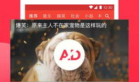 民间吃瓜爆料视频下载,民间吃瓜爆料视频背后的下载热潮